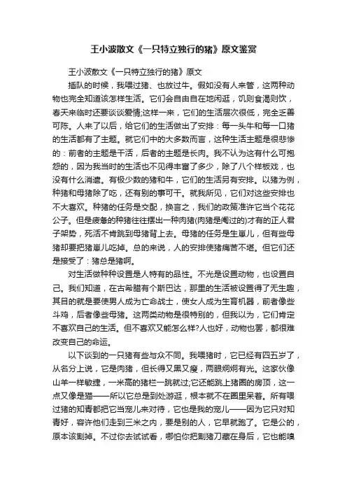 王小波散文《一只特立独行的猪》原文鉴赏