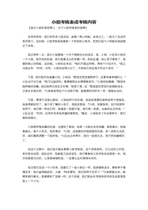 小组考核表或考核内容