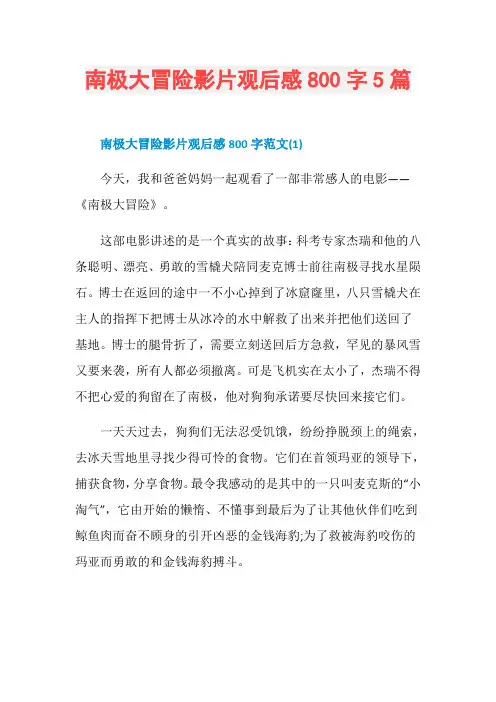 南极大冒险影片观后感800字5篇