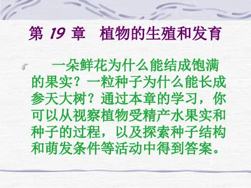八年级上册生物 苏科版  植物的生殖和发育课件 