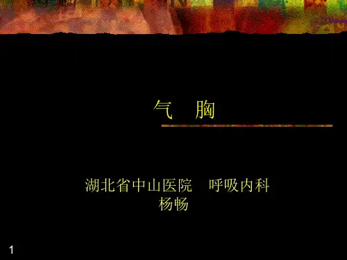 气胸(课堂PPT)