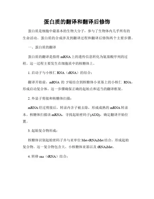 蛋白质的翻译和翻译后修饰