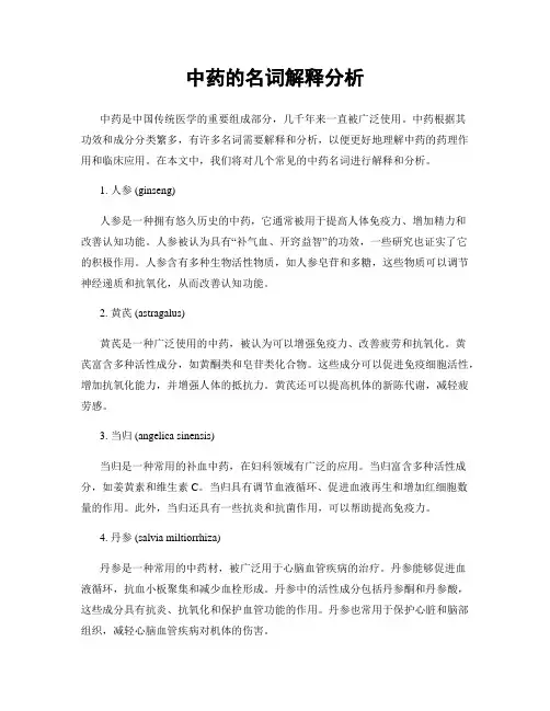 中药的名词解释分析