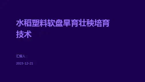 水稻塑料软盘旱育壮秧培育技术