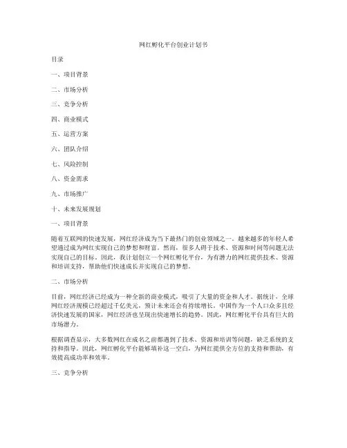 网红孵化平台创业计划书