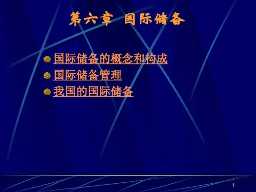 第六章 国际储备