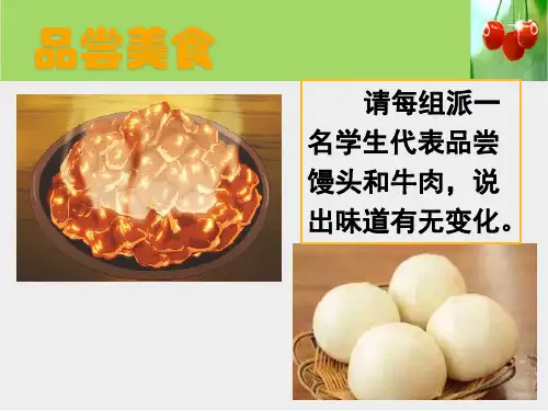 苏教版七年级下册生物 人体的消化与吸收 课件