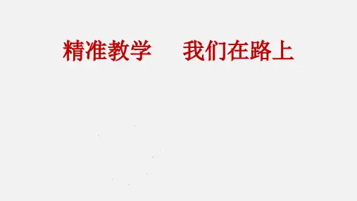 精准教学PPT