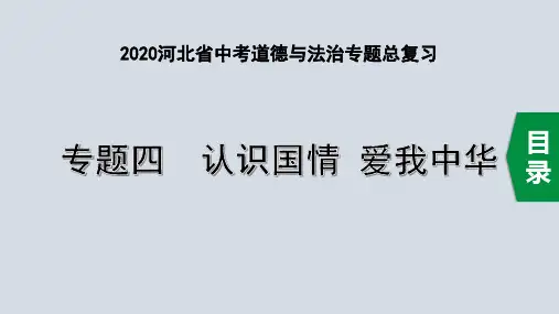 2020河北省中考道德与法治专题总复习：专题四 认识国情 爱我中华  主题15 科教兴国,创新发展