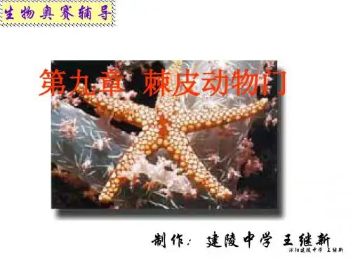 第九章 棘皮动物门