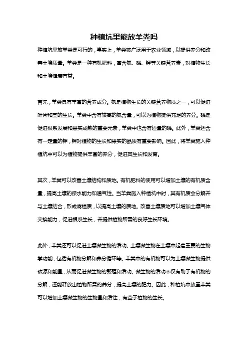 种植坑里能放羊粪吗