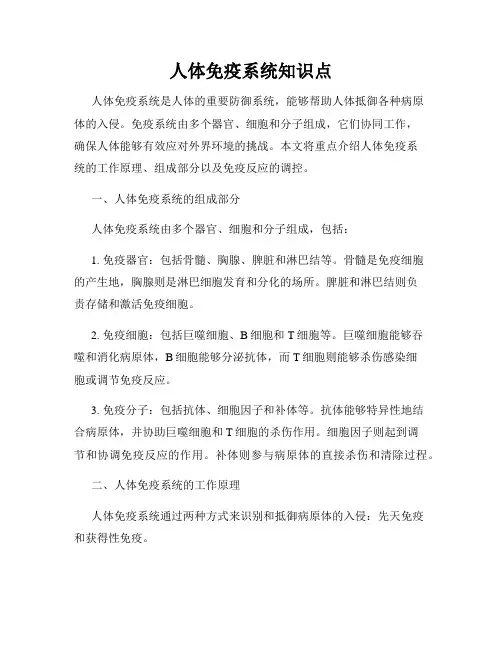 人体免疫系统知识点