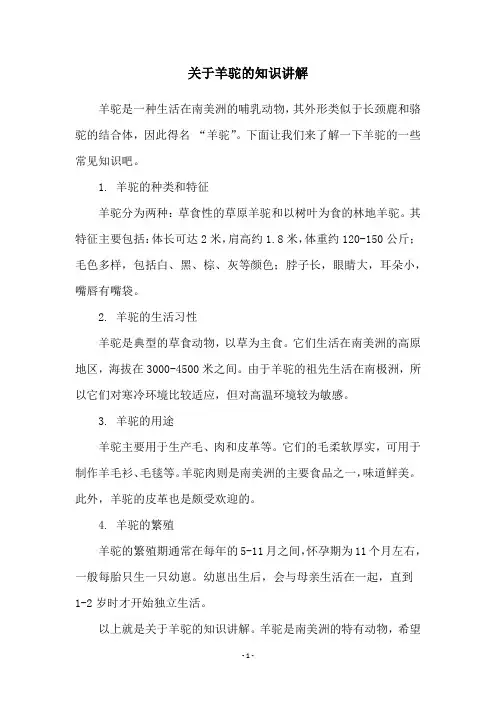 关于羊驼的知识讲解