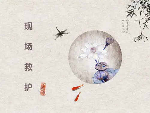 《创伤救护》课件