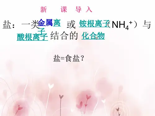 《生活中常见的盐》_课件