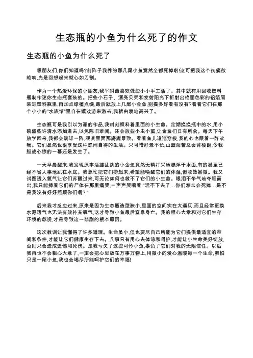 生态瓶的小鱼为什么死了的作文