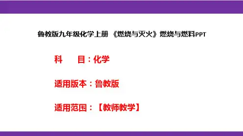 鲁教版九年级化学上册《燃烧与灭火》燃烧与燃料PPT