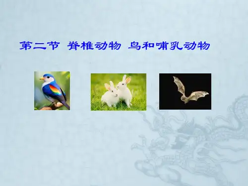 人教版生物七年级上册2.2.3《脊椎动物-鸟和哺乳动物》课件(共24张PPT)