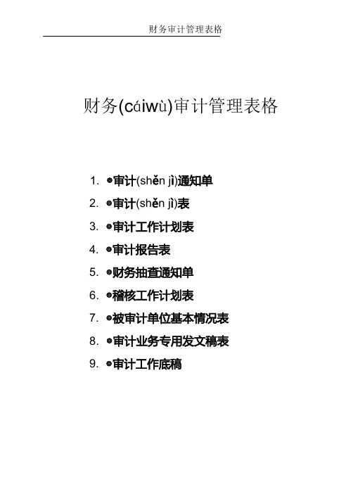 财务审计管理表格(9个表格)(共11页)