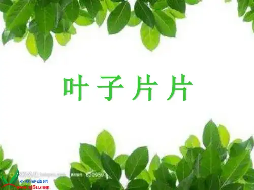 叶子片片PPT