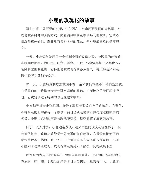 小鹿的玫瑰花的故事