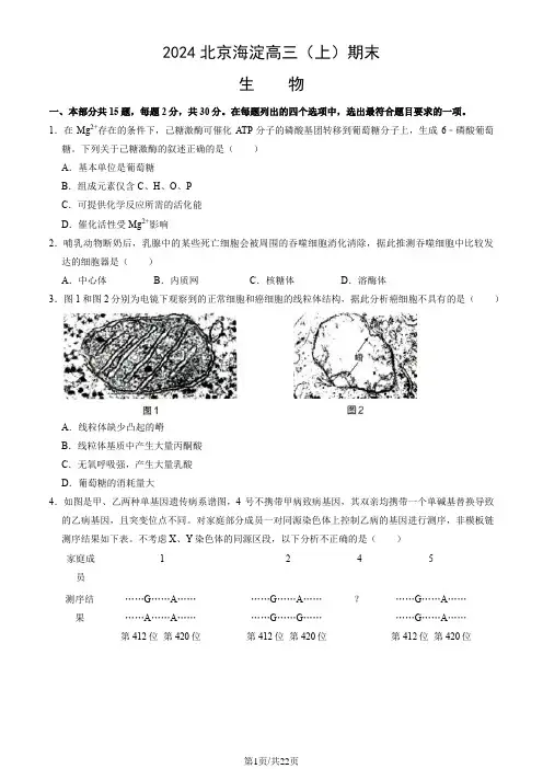 2024北京海淀高三(上)期末生物(教师版)
