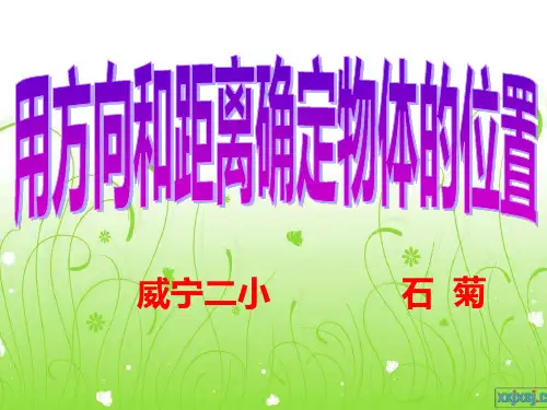 用方向和距离确定物体的位置ppt