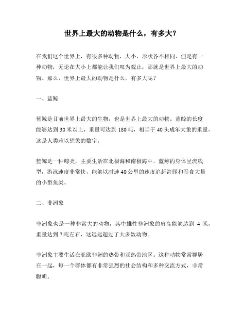 世界上最大的动物是什么,有多大？