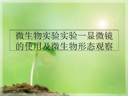 最新微生物实验实验一显微镜的使用及微生物形态观察PPT课件