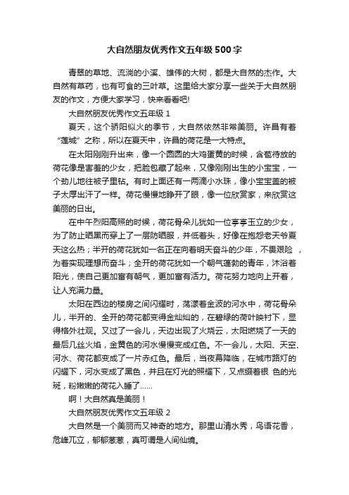 大自然朋友优秀作文五年级500字