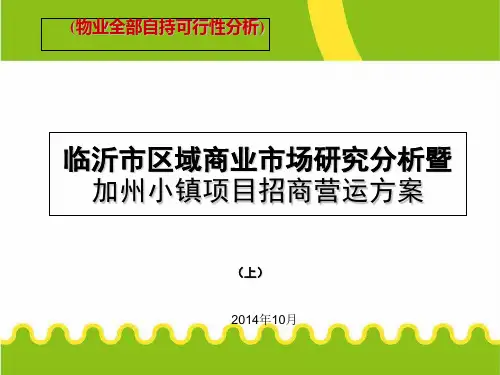 临沂市区域商业市场研究分析暨加州小镇项目招商营运方案(上)