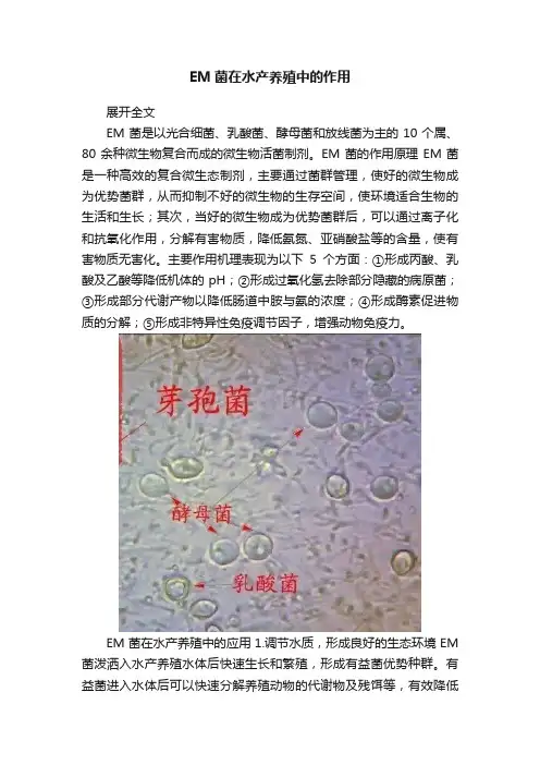 EM菌在水产养殖中的作用