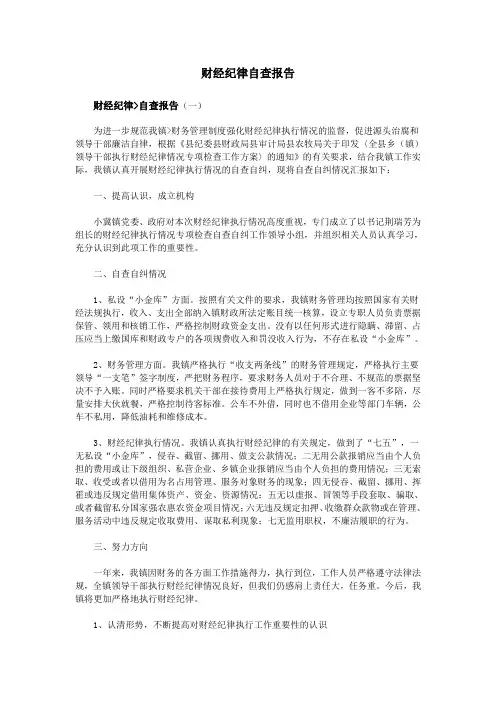 财经纪律自查报告