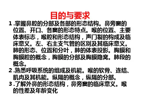 系统解剖学：5呼吸系统