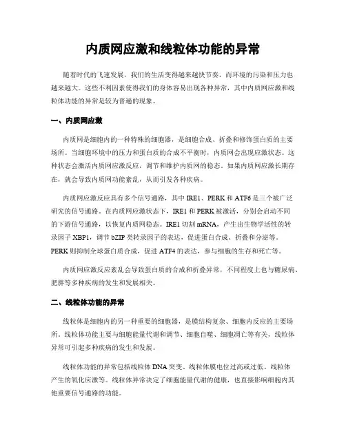 内质网应激和线粒体功能的异常