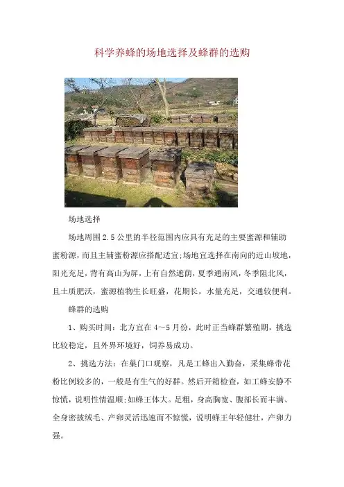 科学养蜂的场地选择及蜂群的选购