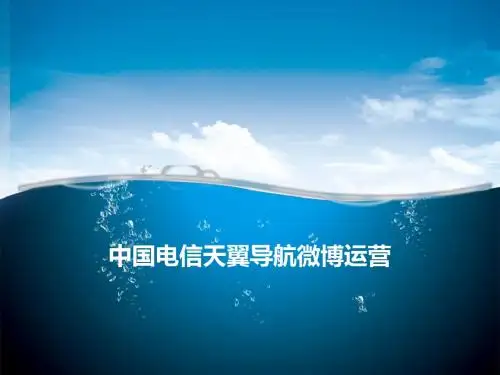 微博运营参考案例PPT