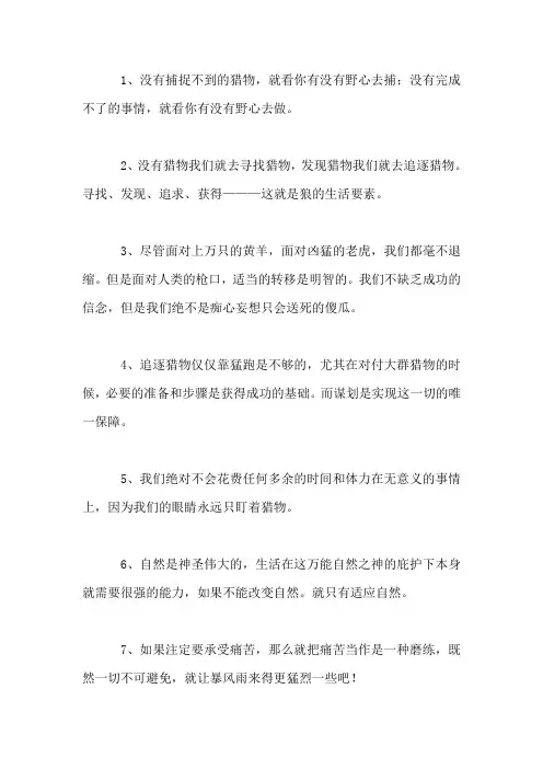 《狼图腾》中狼的50经典格言摘录