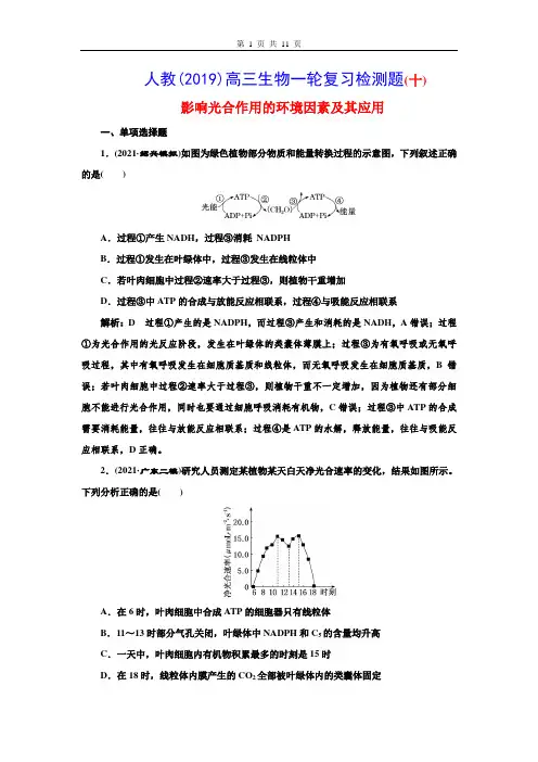 人教(2019)高三生物一轮复习检测题(10) 影响光合作用的环境因素及其应用