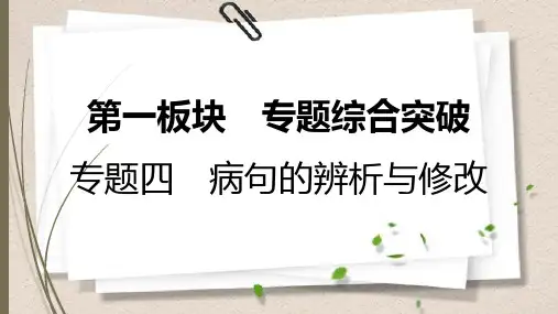 2021-2022中考语文专题四 病句的辨析与修改