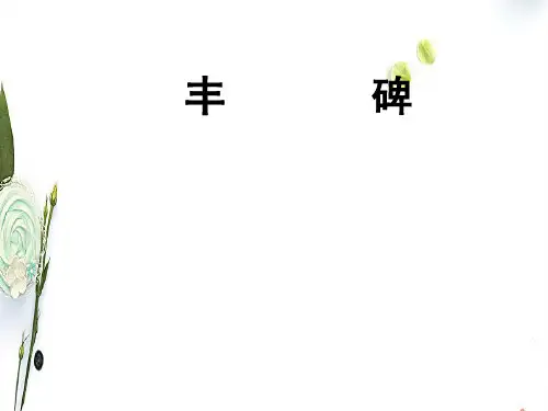 新课标人教版语文五年级下册选读4丰碑ppt课件3