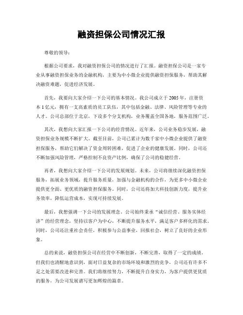 融资担保公司情况汇报