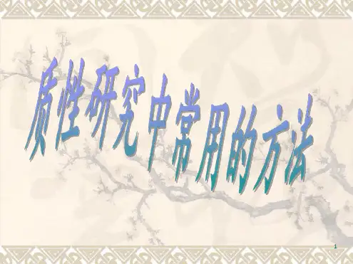 质性研究方法课件