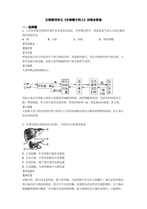 生物第四单元《生物圈中的人》试卷含答案