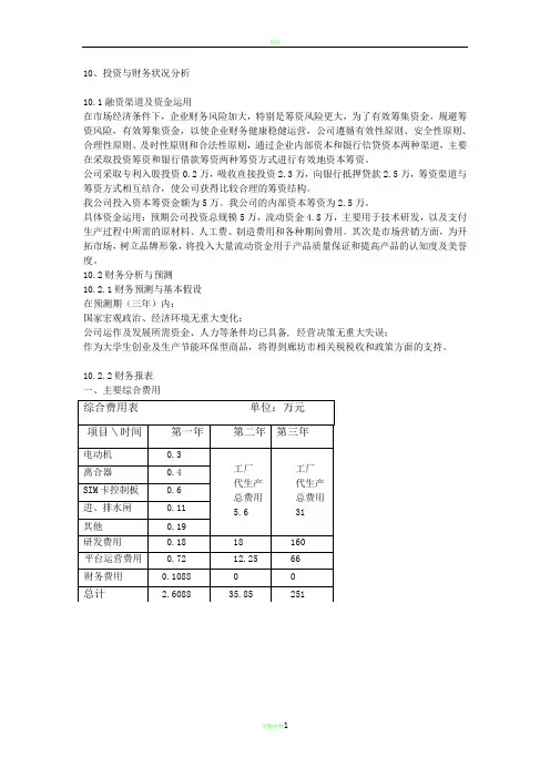 融资与财务状况分析 样表