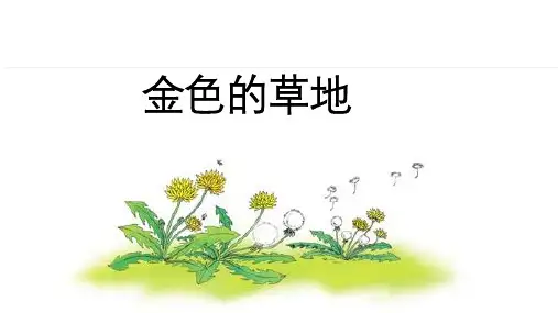 16《金色的草地》课件(共22张PPT)