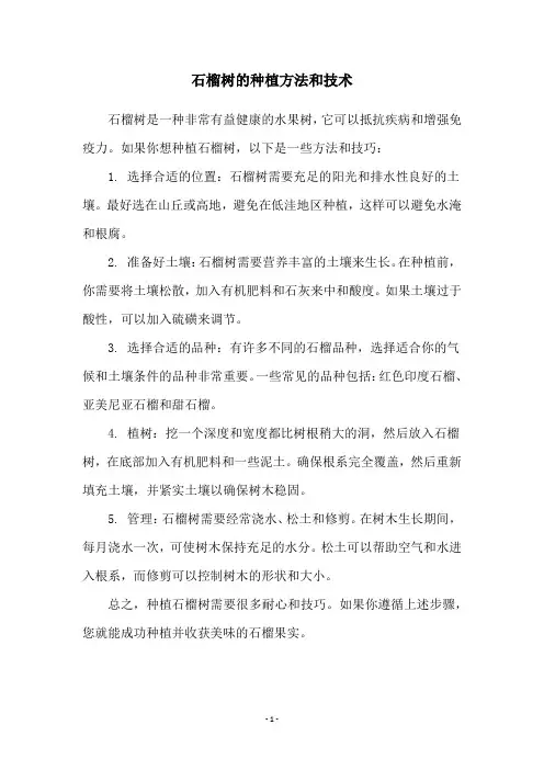 石榴树的种植方法和技术