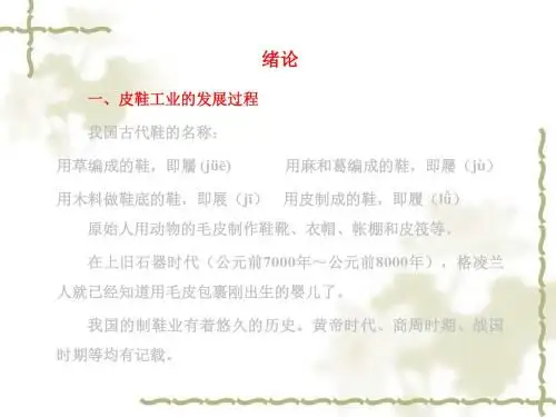 【PPT】皮鞋工业的发展过程(精)