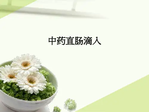 中药直肠滴入ppt课件