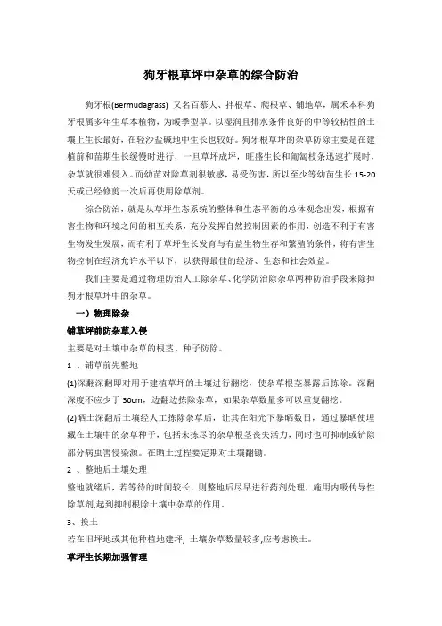 狗牙根草坪杂草防治